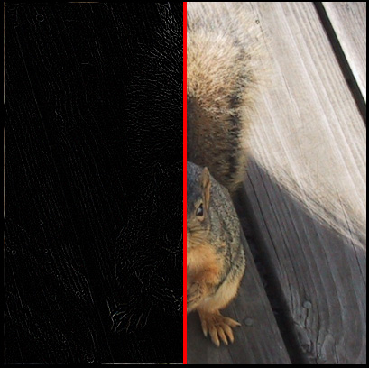 edge enhanced
        squirrel
