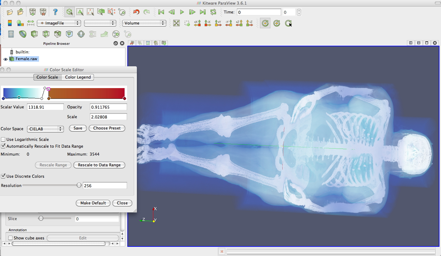 Paraview visualization of Visible Female with volume rendering