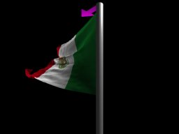 flag