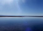 Laguna Chaxa  Salar de Atacama 3  Laguna Chaxa