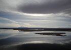 Laguna Chaxa  Salar de Atacama 5  Laguna Chaxa
