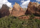 IMG_0682  Zion National Park