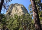 IMG_1671  Devil's Tower National Monument