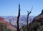 More of the Grand Canyon  The Grand Canyon