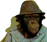 Lancelot Link, Secret Chimp