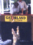 Gatorland