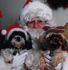 santa-tzu