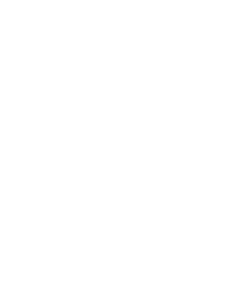 audiogram (optional)