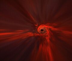 Synesthesia: Collaborative Biosignal Experience