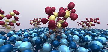 Platinum clusters change shape during catalysis