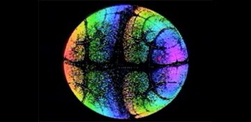 Early visualization of quaternion fractals