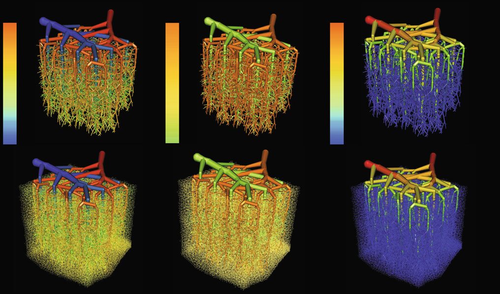 Cerebral Microcirculation and Oxygen Tension in the Human Secondary Cortex