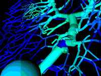 Realistic Modeling of Brain Structures with Remote Interaction Between Simulations of an Inferior Olivary Neuron and a Cerebellar Purkinje Cell