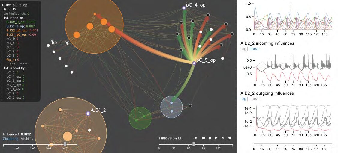 Dynamic Influence Networks for Rule-based Models