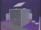 Projection-Based Virtual Environments and Disability