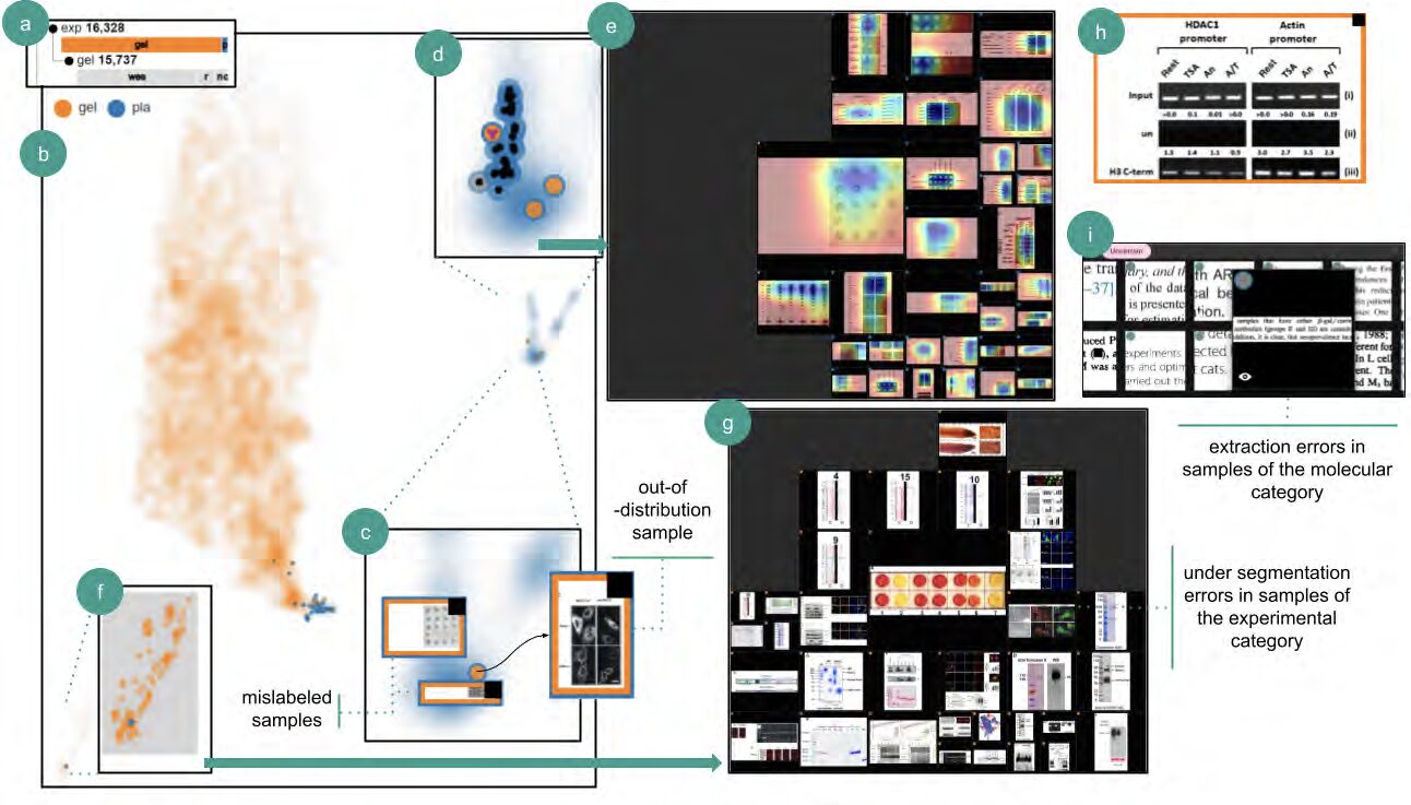 BI-LAVA: Biocuration with Hierarchical Image Labeling through Active Learning and Visual Analytics
