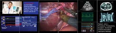 Advancing Robotic Surgery Using High-Performance Visualization and Networking Technologies