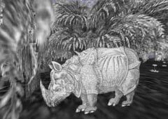 Historiae Naturalis