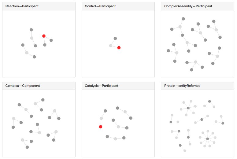 Exploring BioPax and the Pathway Commons API Using Linked Views