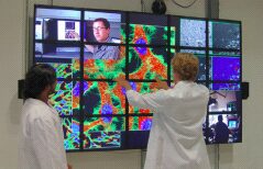 Real-time Multi-scale Brain Data Acquisition, Assembly, and Analysis using an End to End OptIPuter