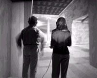 Shared Miletus: Towards a Networked Virtual History Museum