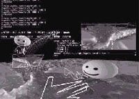 The Use of Collaborative Virtual Environments in the Mine Countermeasures Mission