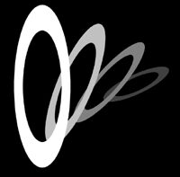 netLasso