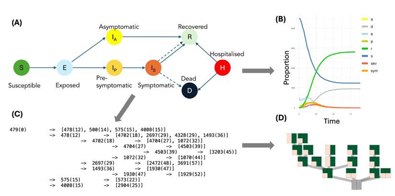 Empowering Communities: Tailored Pandemic Data Visualization for Varied Tasks and Users