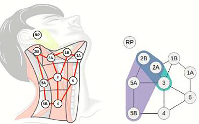 NIH Awards Longitudinal Spatial-Nonspatial Decision Support for Competing Outcomes in Head and Neck Cancer Therapy