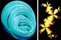 Ray Tracing Deterministic 3-D Fractals 2