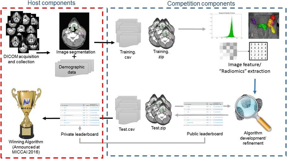 Matched computed tomography segmentation and demographic data for oropharyngeal cancer radiomics challenges