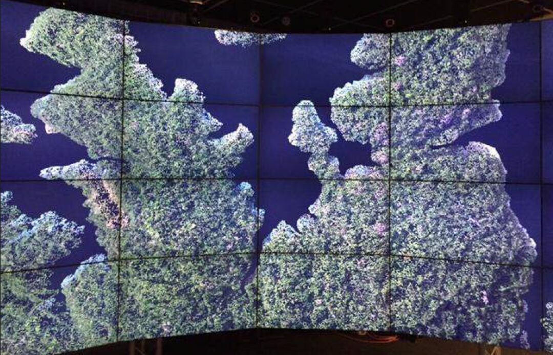 SENSEI-Panama: Visualizing Animal Movement Data on a Virtual Island in the CAVE2™
