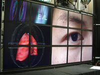 TeraVision: a Platform and Software Independent Solution for Real Time Display Distribution in Advanced Collaborative Environments