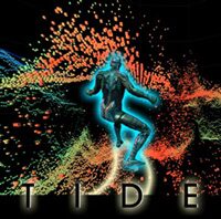 The Tele-Immersive Data Explorer: A Distributed Architecture for Collaborative Interactive Visualization of Large Data-sets
