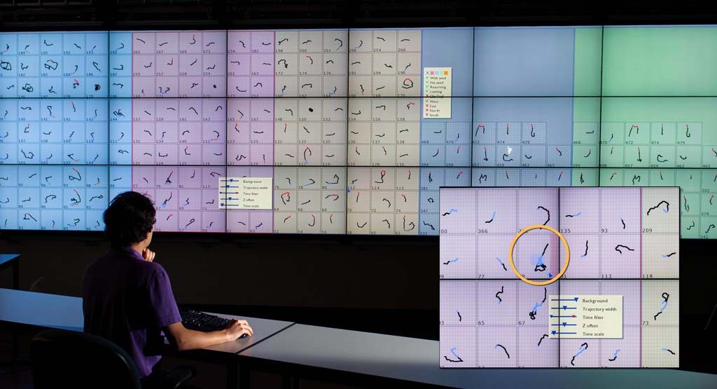 Cognitive and Visual Integration in Lage Information Space