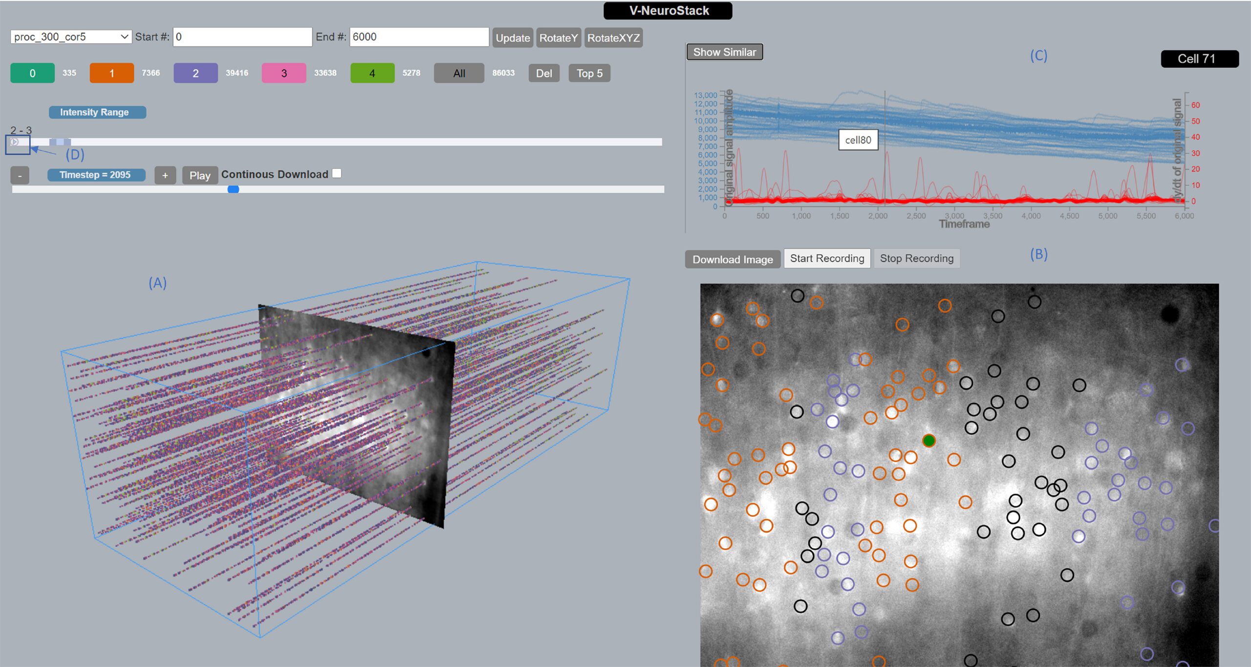 V-NeuroStack: Open-source 3D time stack software for identifying patterns in neuronal data