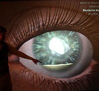 The Virtual Eye / Virtual House Project Wins the Netter Award