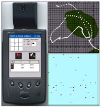Field Work