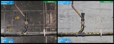 WallCology: Studying Ecology using a Distributed, Persistent Virtual Ecosystem in the Classroom