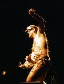 stelarc in parasite performance
