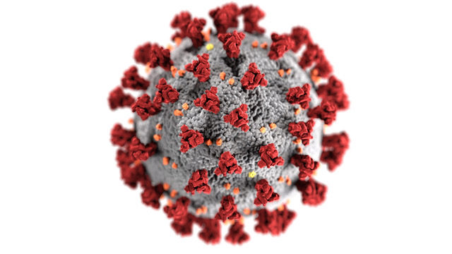Image courtesy Centers for Disease Control and Prevention (CDC) Coronavirus image