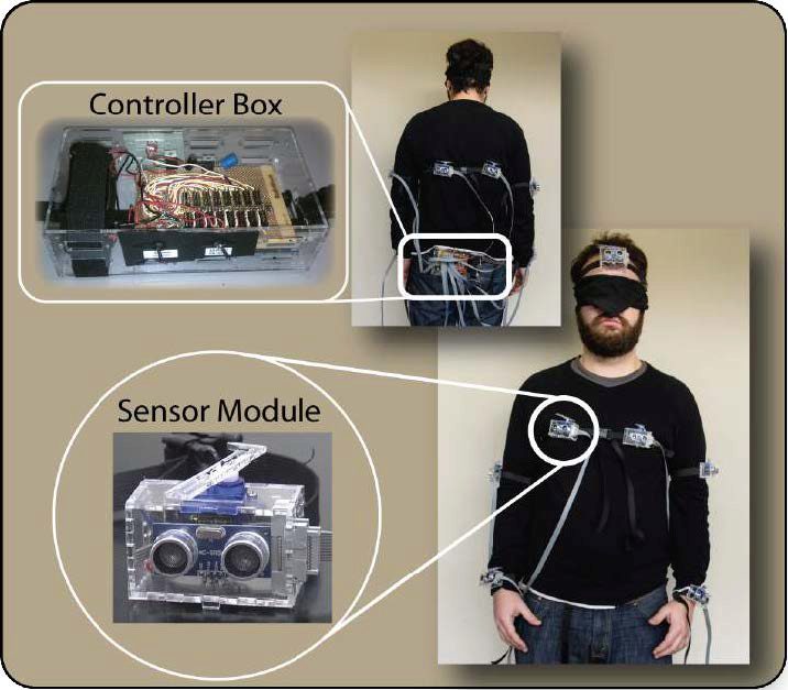 Positioning of Sensor Modules and Controller Box
