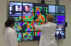 Biologists use a SAGE display for visualizing multiple datasets while collaborating with remote sites using HDTV video streams