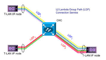 Fig. Conceptual diagram of TERAbit-LAN.