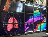 TeraVision Streams Displayed on Tiled Display